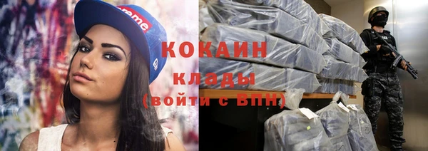 дмт Богданович