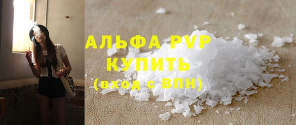 дмт Богданович