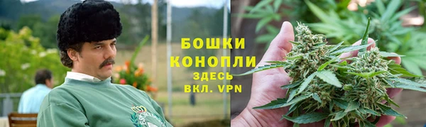 тгк Богородицк
