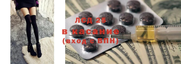 дмт Богданович