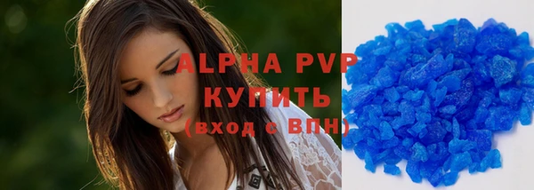 дмт Богданович