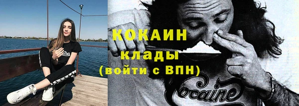 дмт Богданович